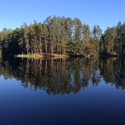 Mike Di Giacomo - Twitter Profile Picture of Mike Di Giacomo (@Mdigi29Mike) on Twitter