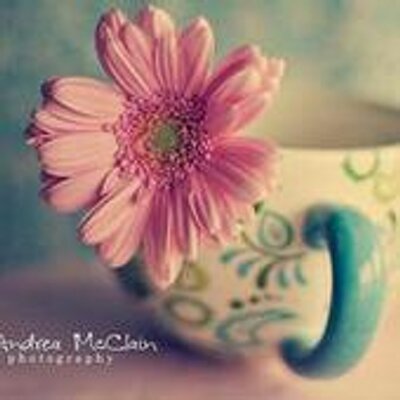 Profile Picture of Cecilia Lai (@cecilialai2) on Twitter