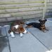 Profile Picture of Ronald Geerts (@ronald.geerts.90) on Facebook