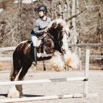 Profile Picture of Caitlin Winter (@caitlin_equestrian1) on Instagram