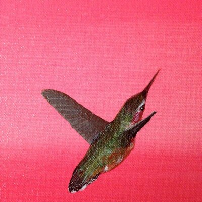 Profile Picture of Stephen Leclair (@LeclairStephen) on Twitter