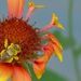 Profile Picture of Pamela Allison (@pallison1006) on Pinterest