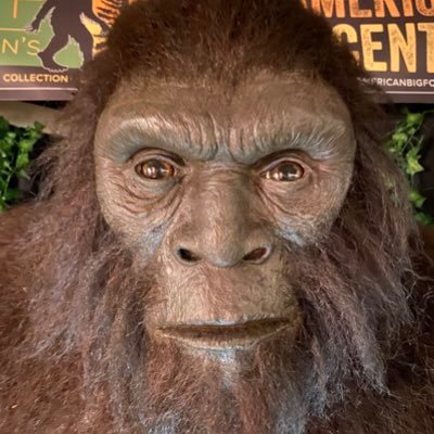 Profile Picture of Jason Steinman (@JasonSteinman4) on Twitter
