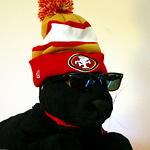 Profile Picture of Steven Munn (@coolcatz) on Flickr