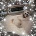 Profile Picture of Kathy Reed Chapman (@kathy.r.chapman.7) on Facebook