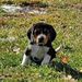 Profile Picture of Stanley Harnden (@staharnden) on Pinterest