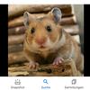 Profile Picture of Kevin Haas810 (@@kevinhaas21) on Tiktok