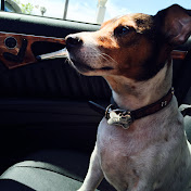 Profile Picture of Mario Lujan (@shonuff213) on Youtube