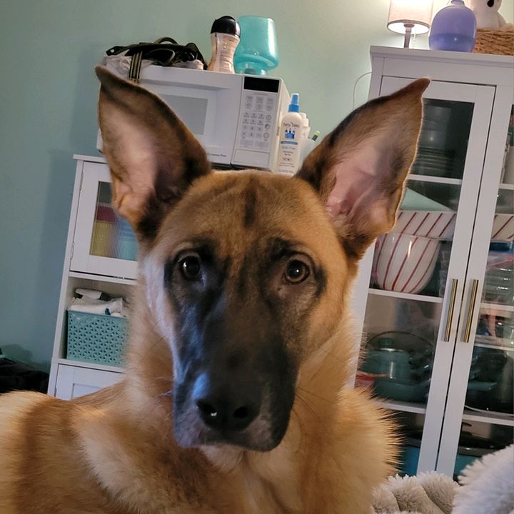 Profile Picture of Cori Irvin (@coriirvin) on Tiktok