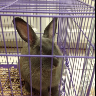 Ismael Bolaños - Twitter Profile Picture of Ismael Bolaños (@IsmaelBolaos) on Twitter