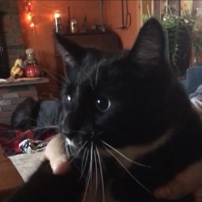 Profile Picture of Random Retard (@peyton_owen_dan) on Twitter