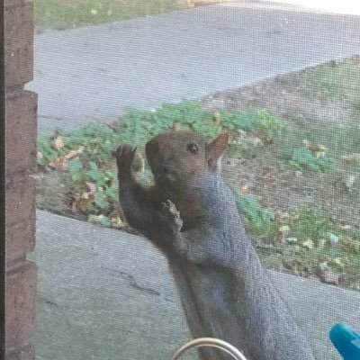 Profile Picture of Reese Trowbridge (@stoopihead) on Twitter