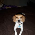 Profile Picture of Corey Redmon (@corey.redmon.79) on Facebook