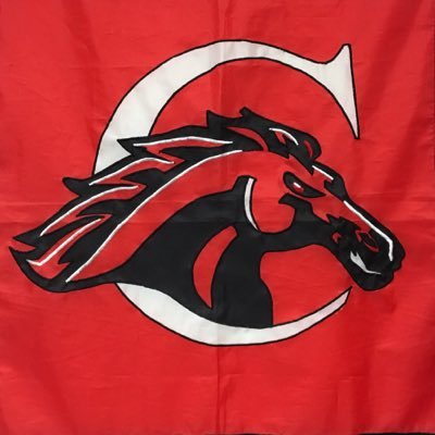 Profile Picture of Bobbie Taylor (@MsTaylor_CHS) on Twitter