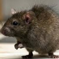 Profile Picture of Andrew Clem (@andrew-clem-1) on Quora