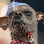 Profile Picture of Zachary Patrick Lumley (@zacharypatricklumley) on Instagram