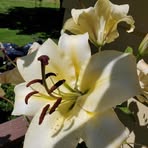 Profile Picture of Brett Cary (@brett.cary.319) on Facebook