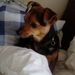 Profile Picture of Paul Loach (@loachpaul66) on Pinterest