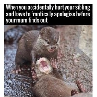 Profile Picture of Jasmine Polanco (@jasmine-polanco-9) on Quora