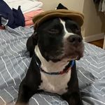 Profile Picture of Shawn Futrell (@shawn.futrell) on Instagram