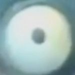 James Wellings - Instagram Profile Picture of James Wellings (@fish_sticks_john) on Instagram