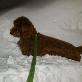 Profile Picture of Audrey Callahan (@Audrey-Callahan) on Facebook