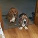 Profile Picture of JASON ROACHE (@jasonr2870) on Pinterest