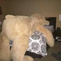 Profile Picture of Sam Groves (@sam-groves-4) on Quora