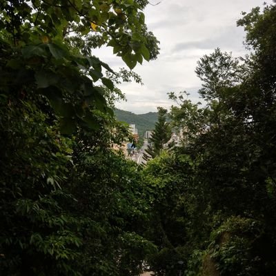 Profile Picture of Steve Tsai (@stevetsai16) on Twitter
