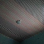 Daniel Christmas - Instagram Profile Picture of Daniel Christmas (@d.christmas) on Instagram