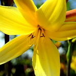 Profile Picture of Michael__williamson (@michael__williamson) on Flickr