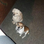 Profile Picture of Dennis Kennedy (@denniskennedy3059) on Youtube