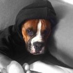 John Iredale - Instagram Profile Picture of John Iredale (@johnboy_28) on Instagram