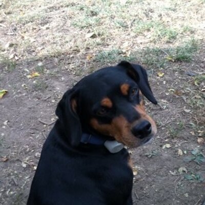 Profile Picture of John Littler (@@jlittler8) on Twitter