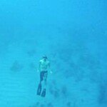 steven jarrard - Instagram Profile Picture of steven jarrard (@stevenjarrard) on Instagram