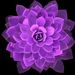 Profile Picture of Lillian Arroyo (@arroyo5666) on Pinterest