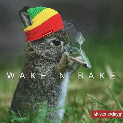 AlexThunder Blade - Twitter Profile Picture of AlexThunder Blade (@alexander_00090) on Twitter