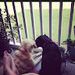 Profile Picture of Kristen Witkowski (@kristenkrucz0470) on Pinterest
