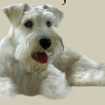 Profile Picture of Luz Green (@luz.green.90) on Facebook