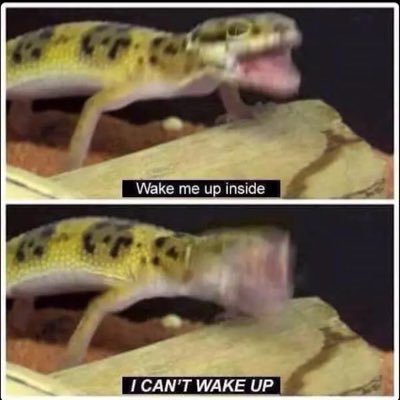 Profile Picture of Damien Wallace (@ovo_wallace) on Twitter