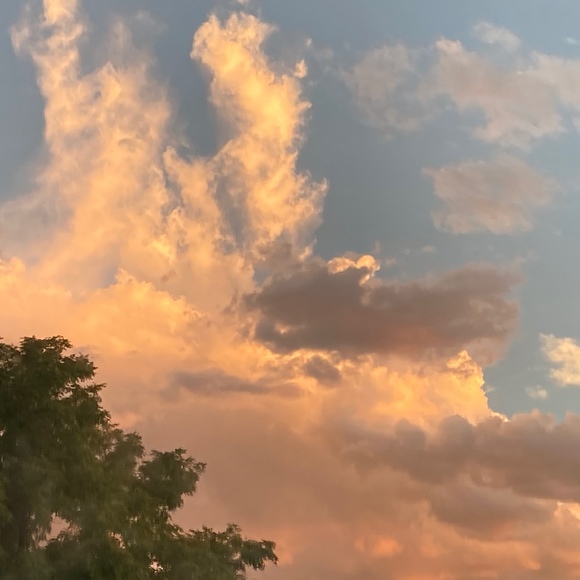 Jacque Clements - Poshmark Profile Picture of Jacque Clements (@nationjaq) on Poshmark