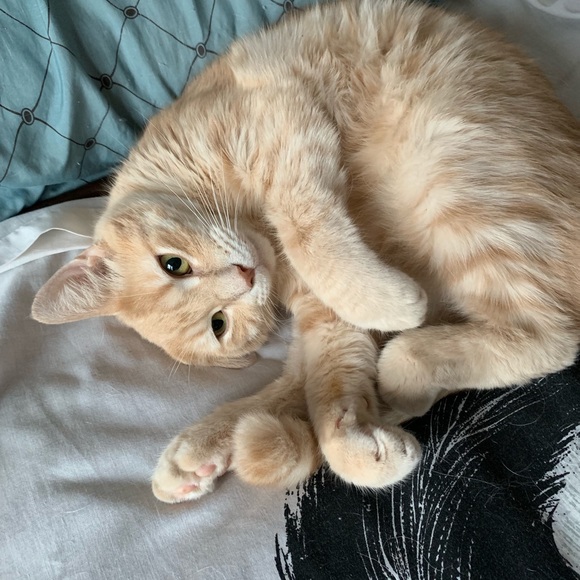 Abby Hesting - Poshmark Profile Picture of Abby Hesting (@abbyhesting) on Poshmark