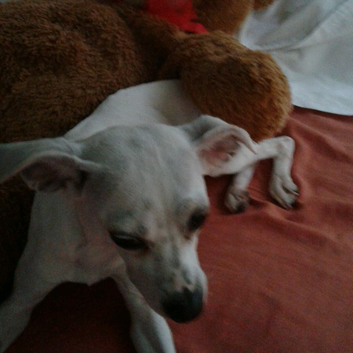 Profile Picture of Olivia Alonso (@regina4818) on Tiktok