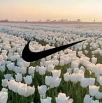 Profile Picture of Paulina Starmach (@Paulina-Starmach) on Facebook