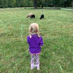 Profile Picture of Michaela Bierbaum Happel (@bierbaumhappel) on Instagram