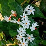 Profile Picture of Victor Kramer (@Victor-Kramer) on Facebook