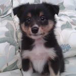 Profile Picture of FrankieGoesToBarton (@frankiegoestobarton) on Instagram