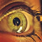 Profile Picture of howard pearl (@hap9910101) on Instagram