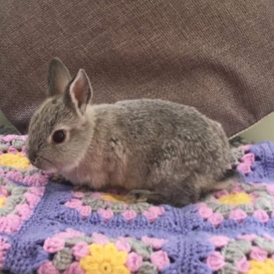 Profile Picture of Claire Watters (@ClaireWatters) on Twitter