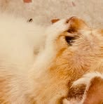 Profile Picture of Guangling Wang (@Guangling-Wang) on Facebook